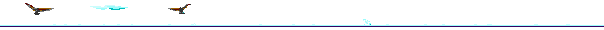 Line1.gif (6900 bytes)