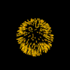 fwani.gif (37291 bytes)