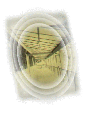 school801.gif (18170 bytes)